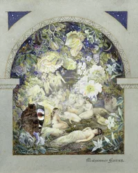 Fées de la Saint-Jean